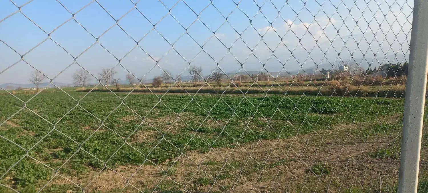 زمین باغی کلاسنگیان
