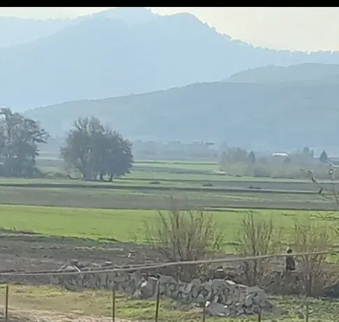 یک قطعه زمین به مساحت ۲۱۶ متر