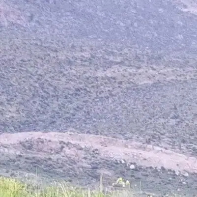 معاوضه زمین مشاع گویم با ماشین