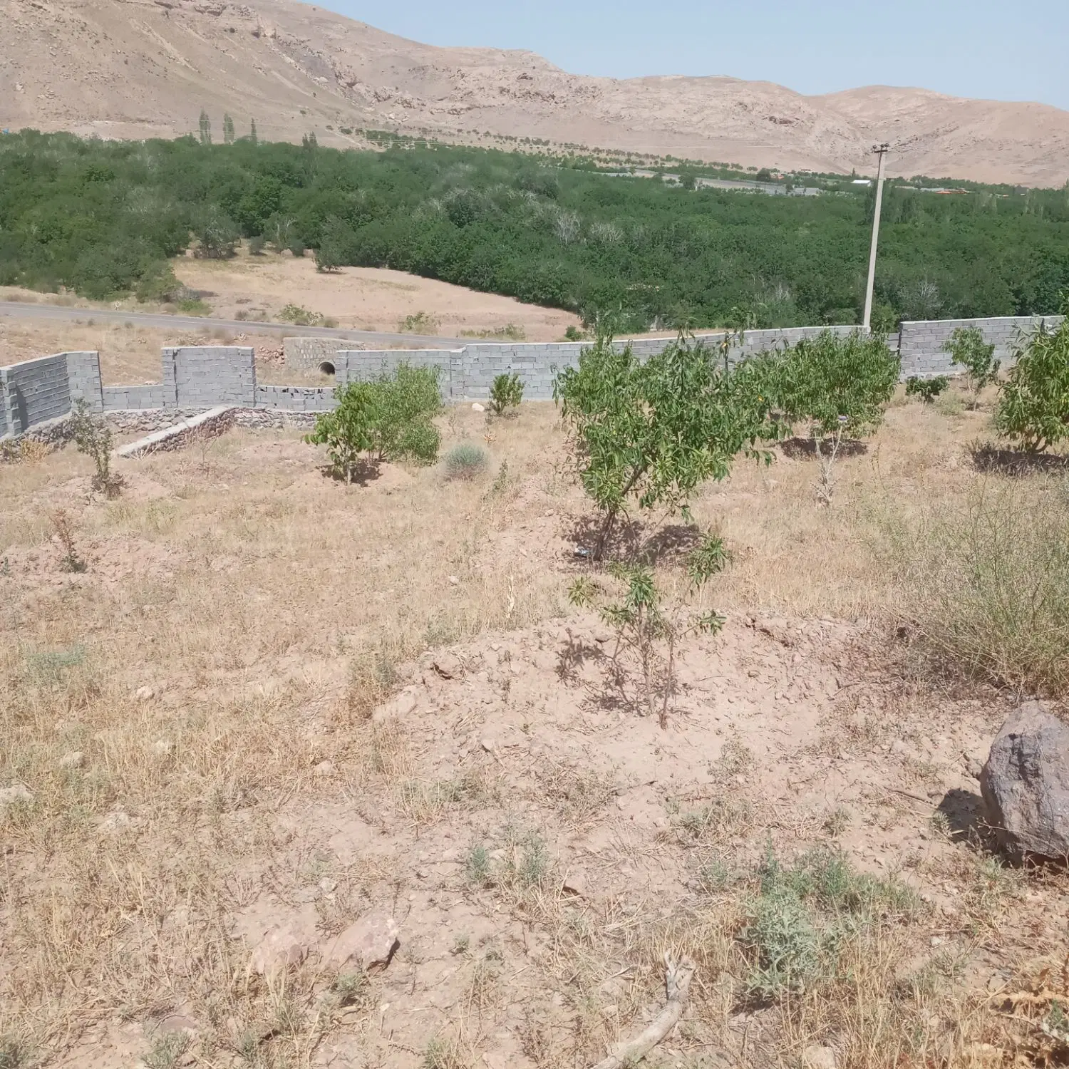 فروش زمین بر اتوبان ساوه