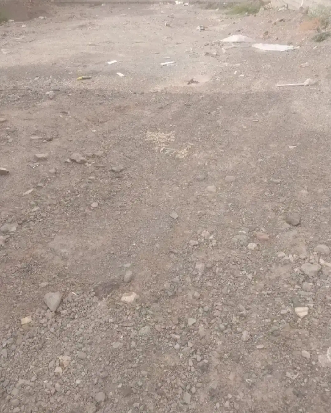 ۳۰۰ متر زمین مومن اباد