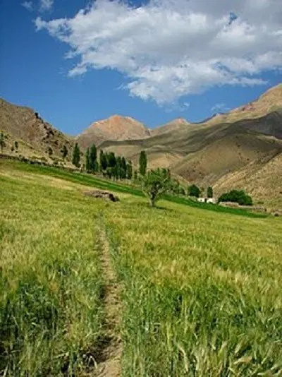 زمین و باغ در منطقه تاش