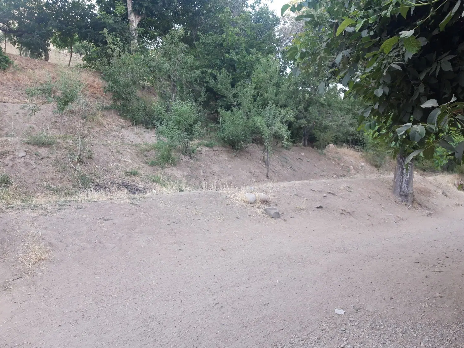 باغ پر حاصل توریستی