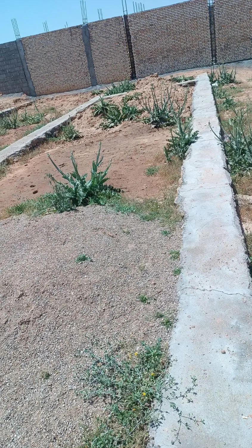 زمین مسکونی روستای تخت اناری