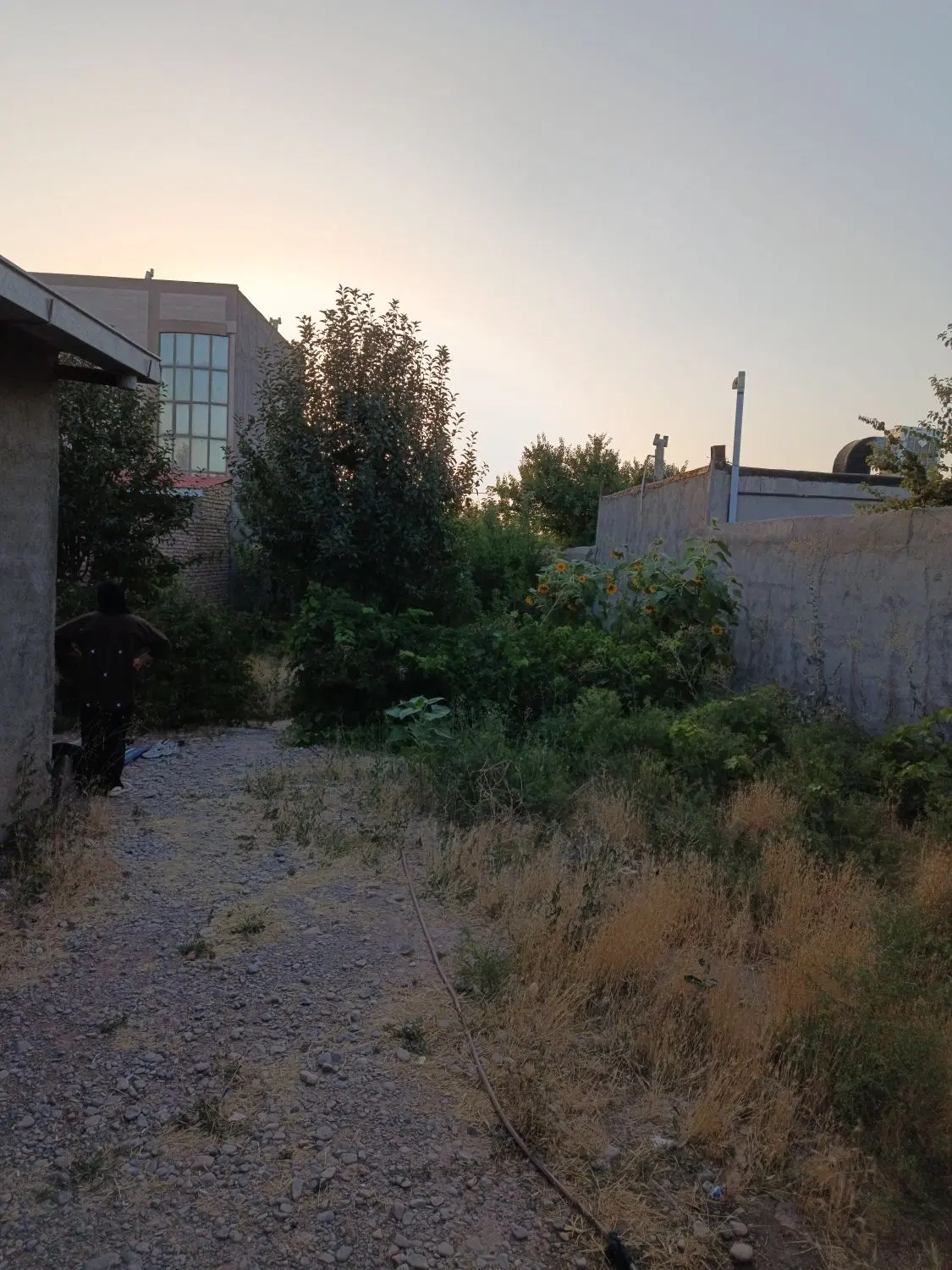 یک باغ حدود پانصد متر در جاده کلات روستای لک لک