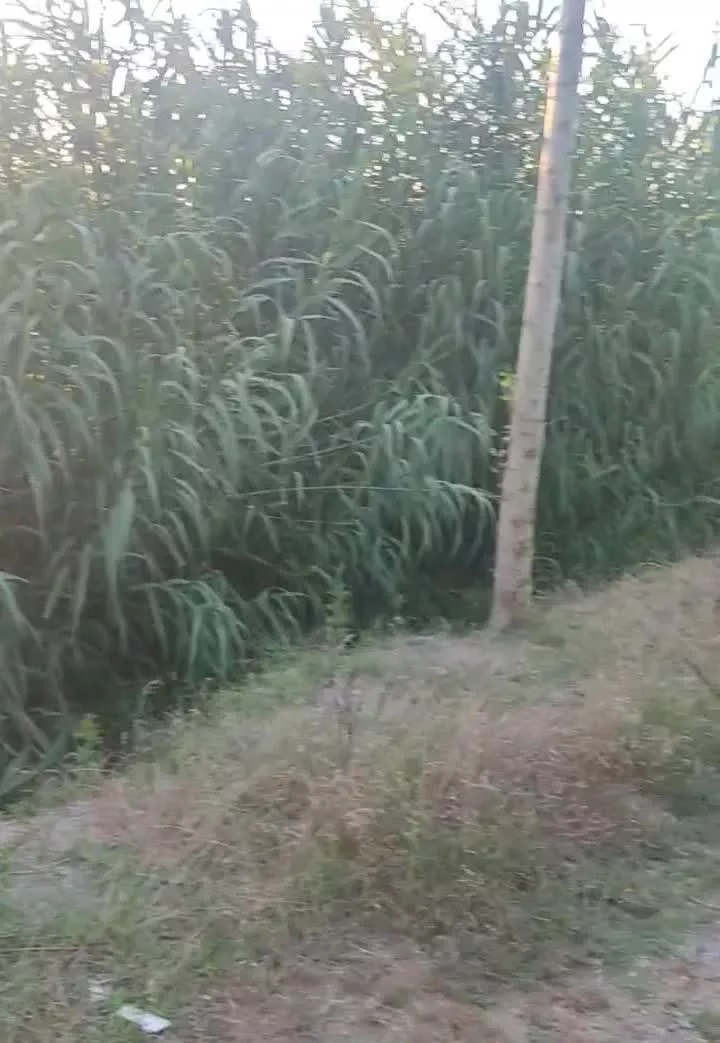 زمین باغ ویلایی با امکانات (محمودآباد شمال)