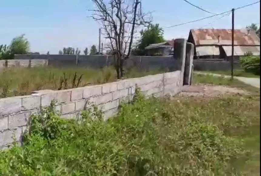 زمین سند تک برگ رودبنه