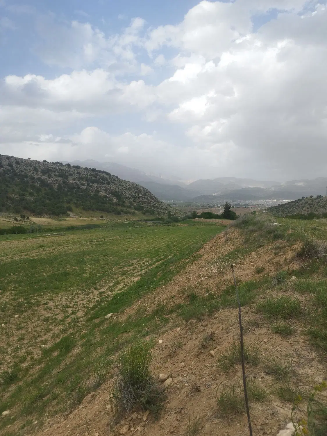 زمین مختار