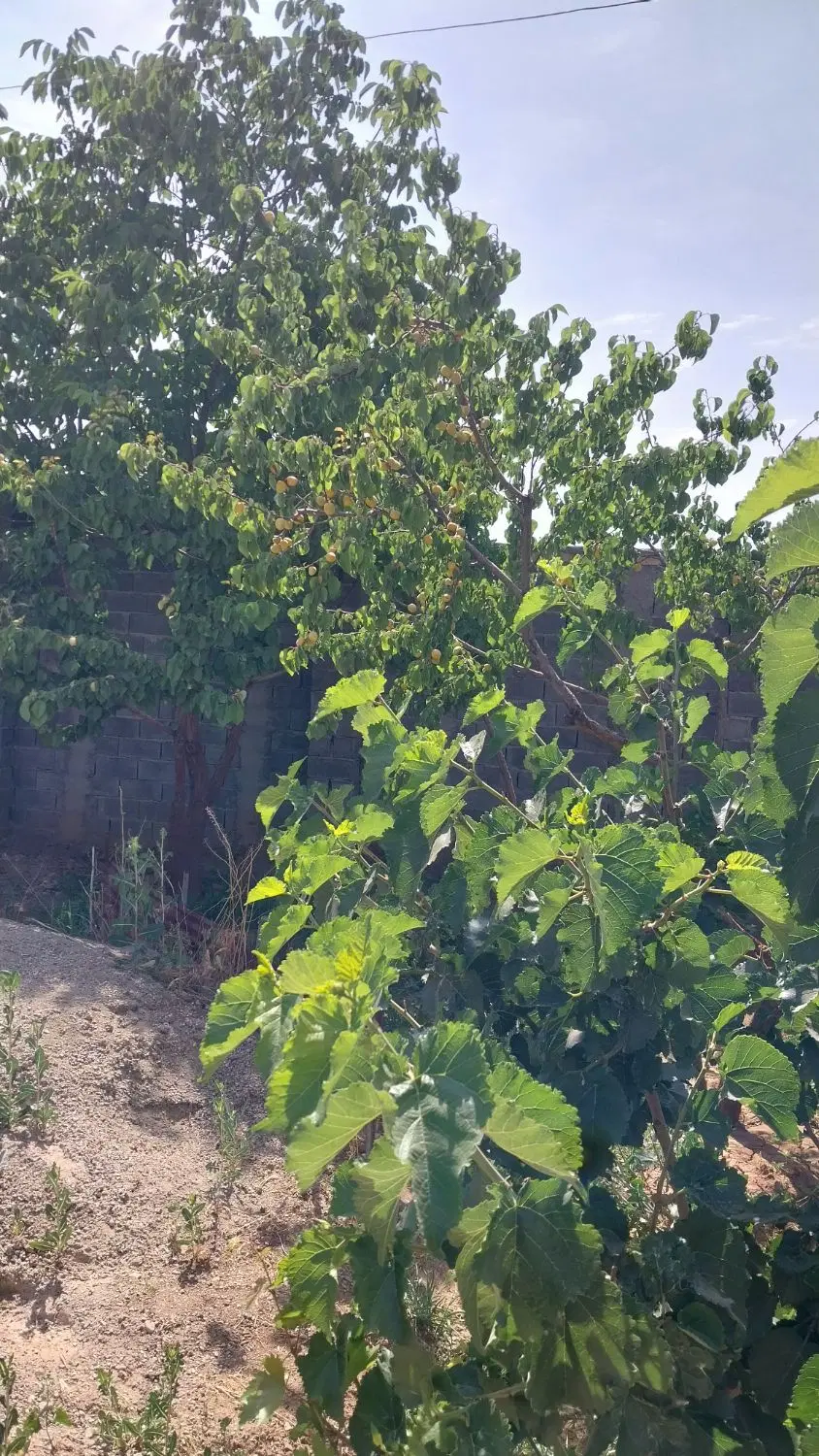 ۷۵۵ متر زمین در موقعیتی خوب