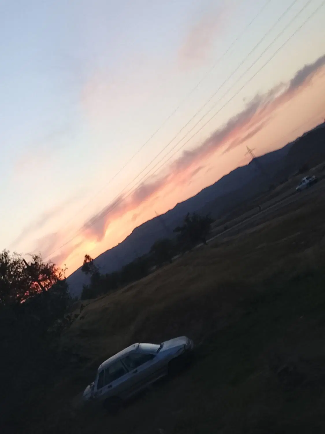 سلام نیم هکتار زمین