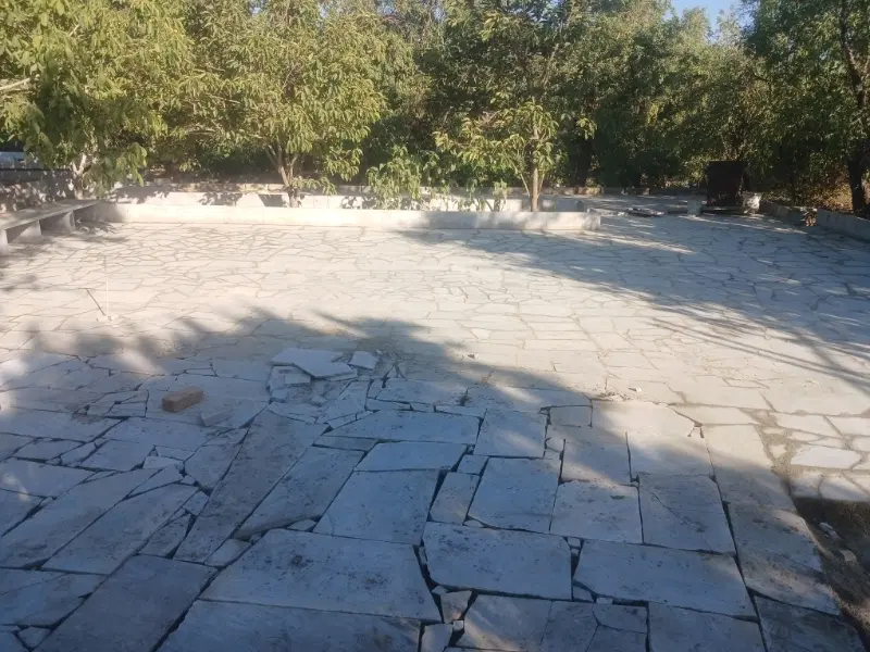 زمین باغی