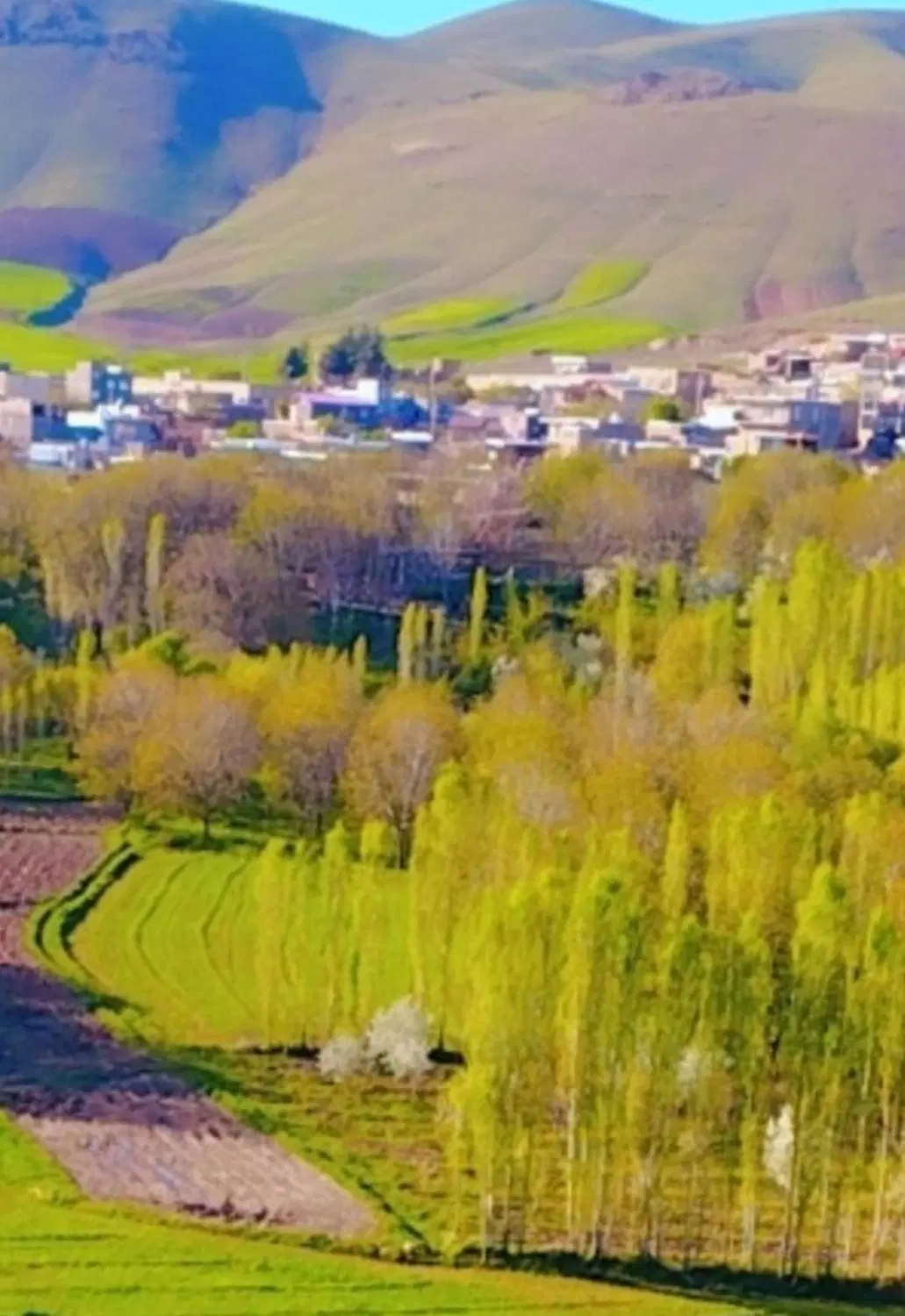 باغ گردو روستای گردشگری