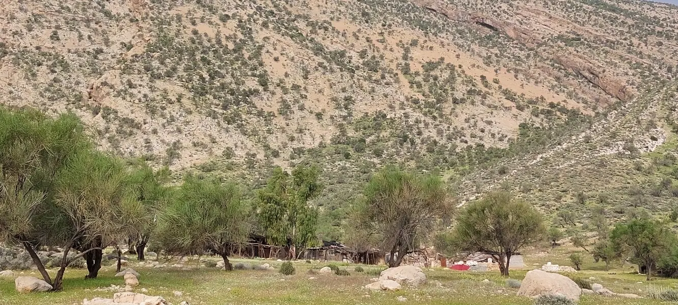 زمین باغ شهری