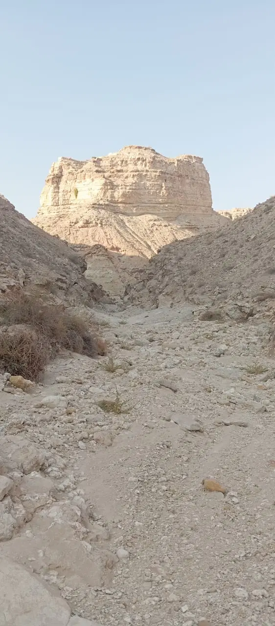 زمین محمدصالحی شمال ولات