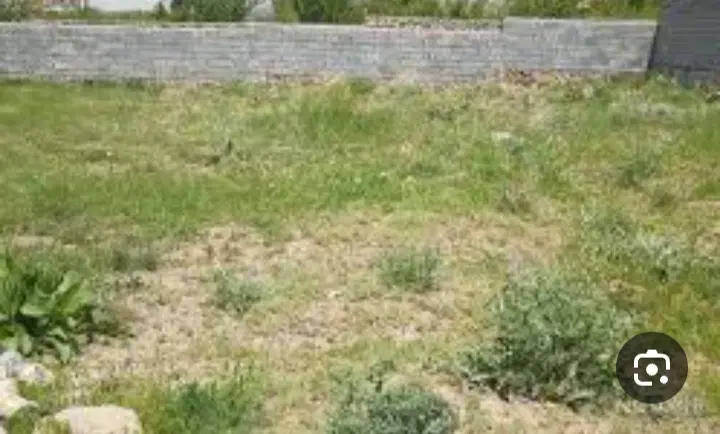 یه قعطه زمین سند دار مسکونی ساحلی  ۵۰۶