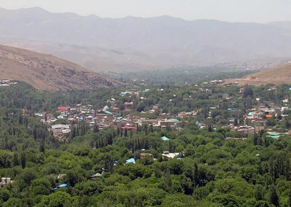 باغ فروشی