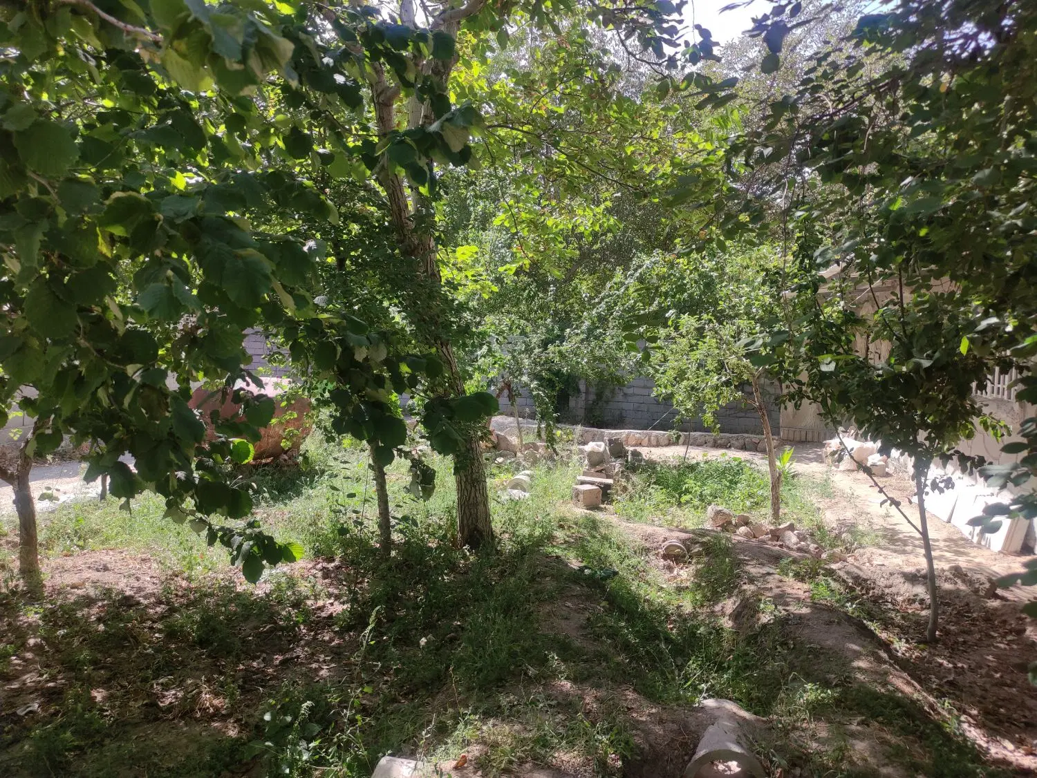 باغچه ویلایی جاده اسکو کندوان