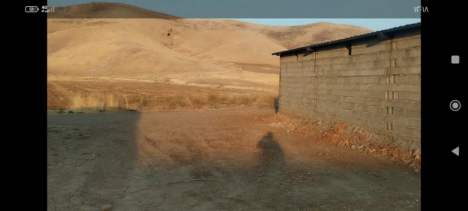 اجاره ۳هکتارزمین برای نخود