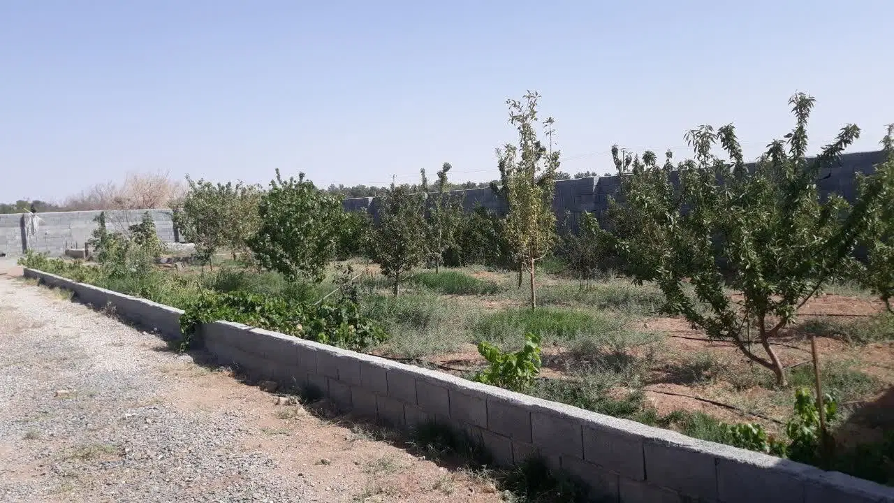 فروش باغ