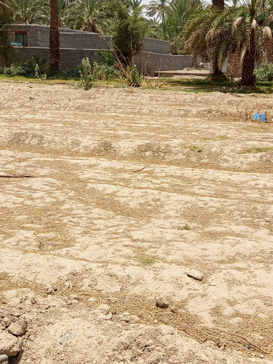 فروش زمین سندداربغدانیه مخصوص ویلا باغ