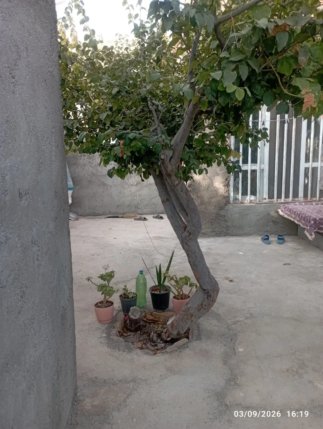 خانه فروشی