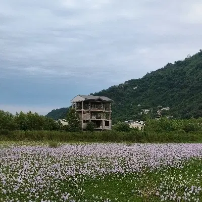 اجاره خانه