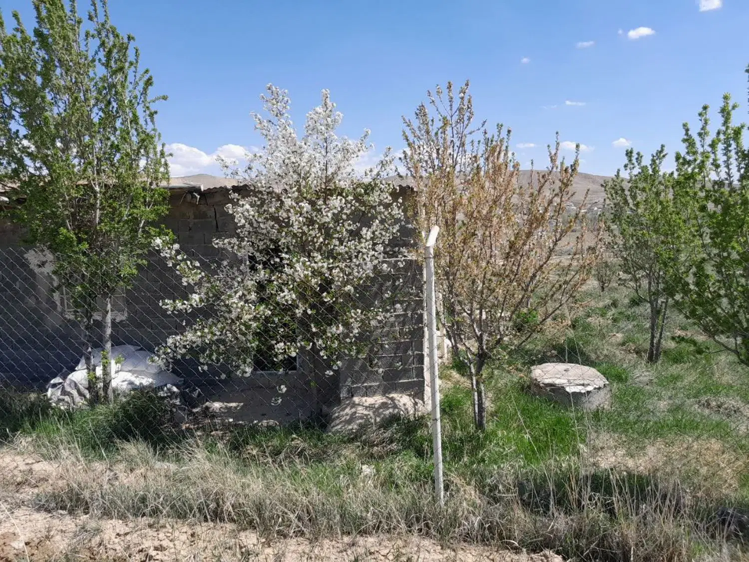 فروش ۱۰۳۲ متر باغ در روستای شهر آباد فیروز کوه