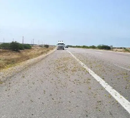 زمین جاده گشویی