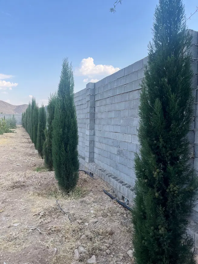 باغ مجتمع پردیس ملوسجان ۲۰۴۰ متر، فاز C