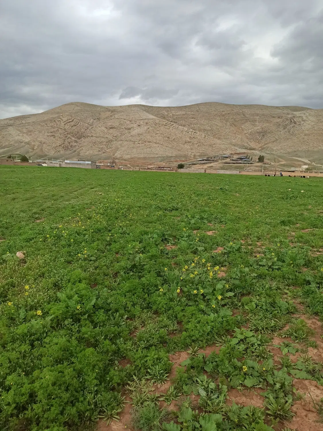 زمین کشاورزی مسکونی