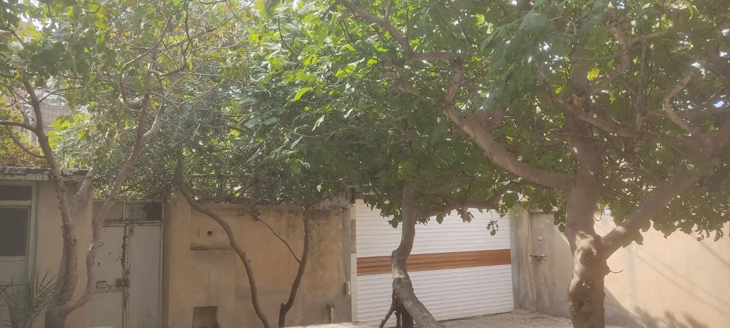 اجاره منزل ویلایی 200 متری جانبازان