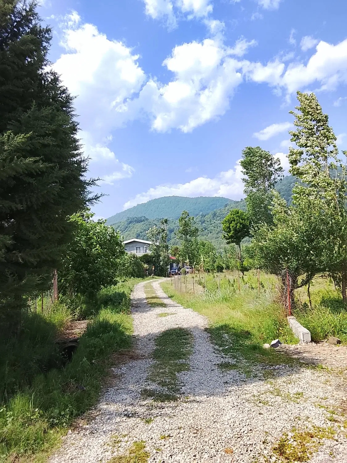 زمین خارج بافت به قیمت  روستای کارکو زیبا