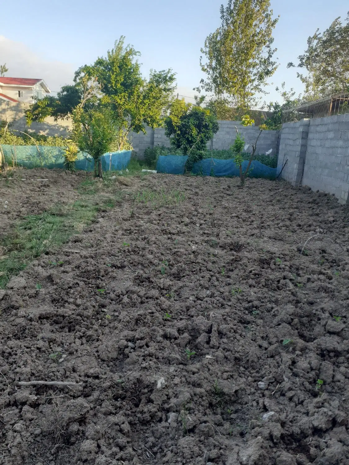 زمین روستایی داخل طرح هادی دارسازی خناچاه