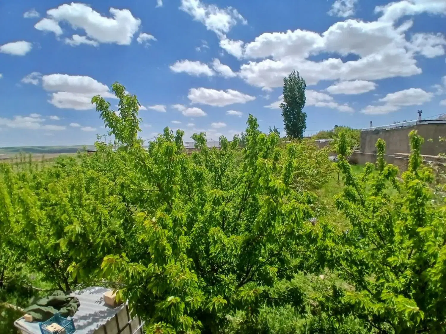 خانه باغ روستایی (قابل معاوضه)