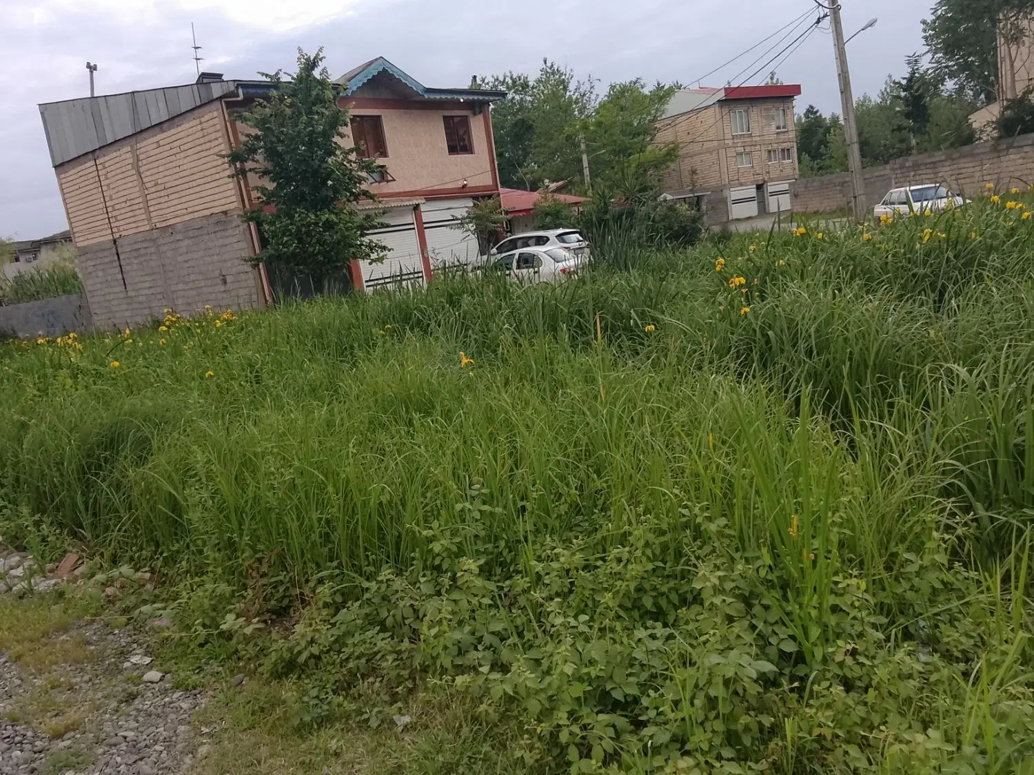 زمین فروشی فوری