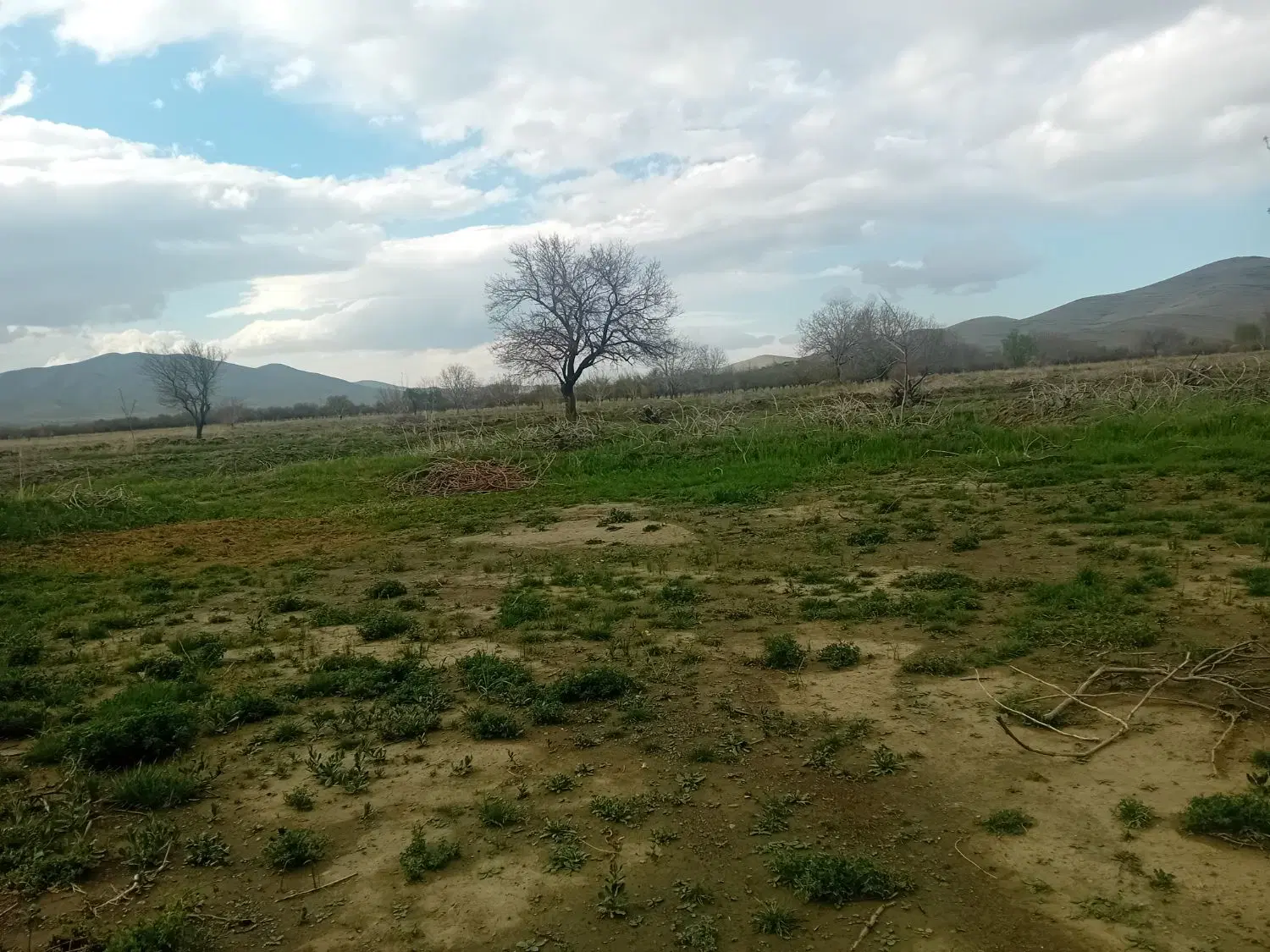 زمین مسکونی درروستا