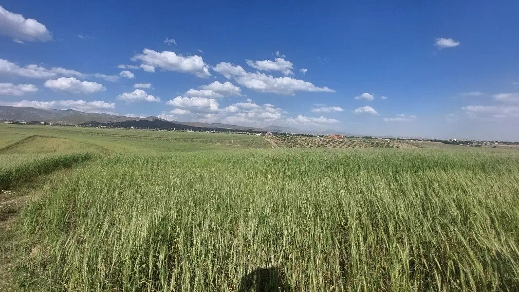 ۲۴۰۰ متر زمین رشتقون _ آبدره _ دو نبش _ فرصت خرید