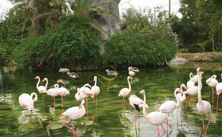 یه ویلا بخر شهر رو به نام خودت کن