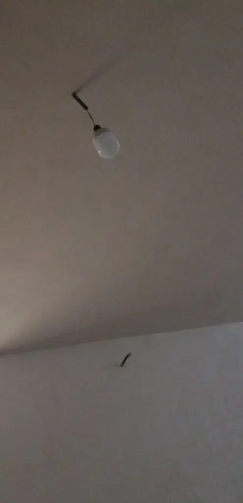 اجاره مغازه همت آباد