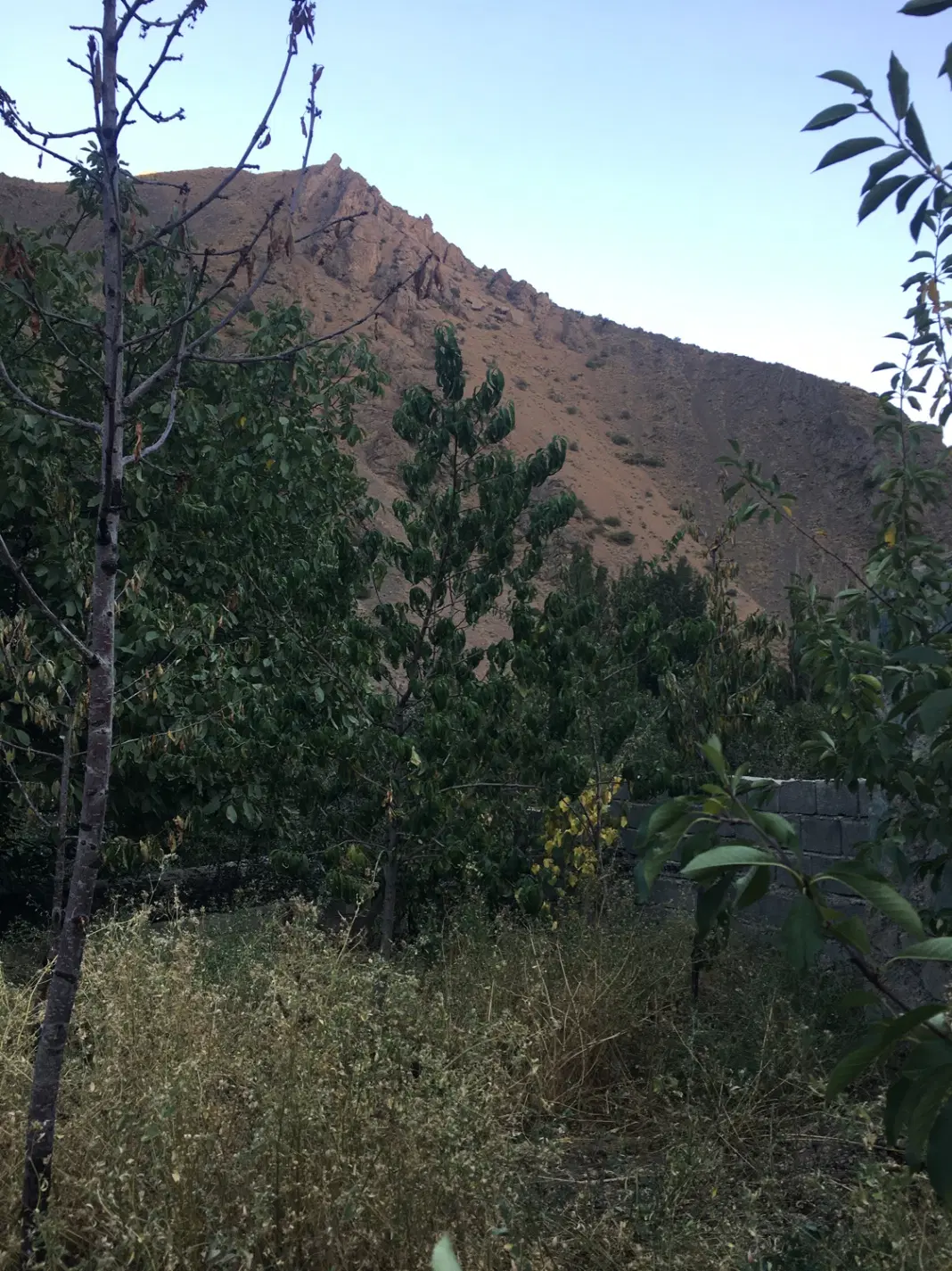 فروش زمین در کیلومتر ۵۰جاده چالوس