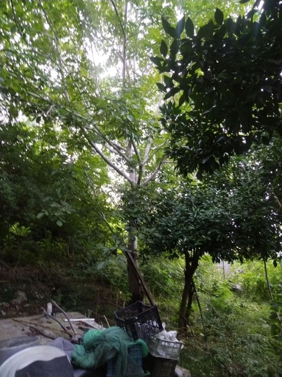 فروش خانه ویلایی