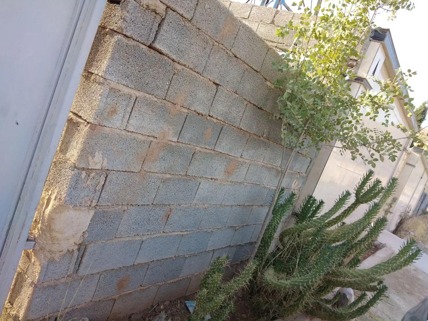 باغ خالد آباد