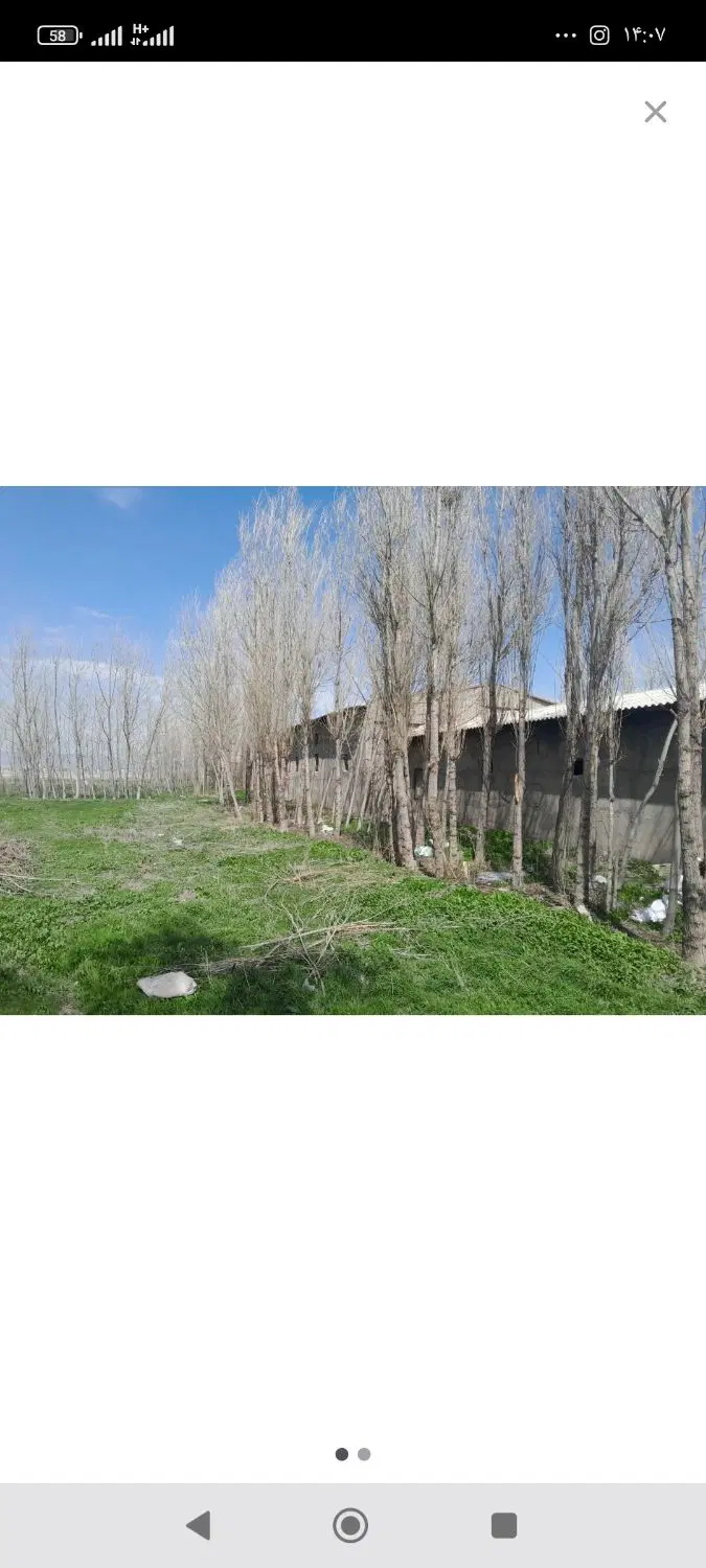 سوله برای دام داری