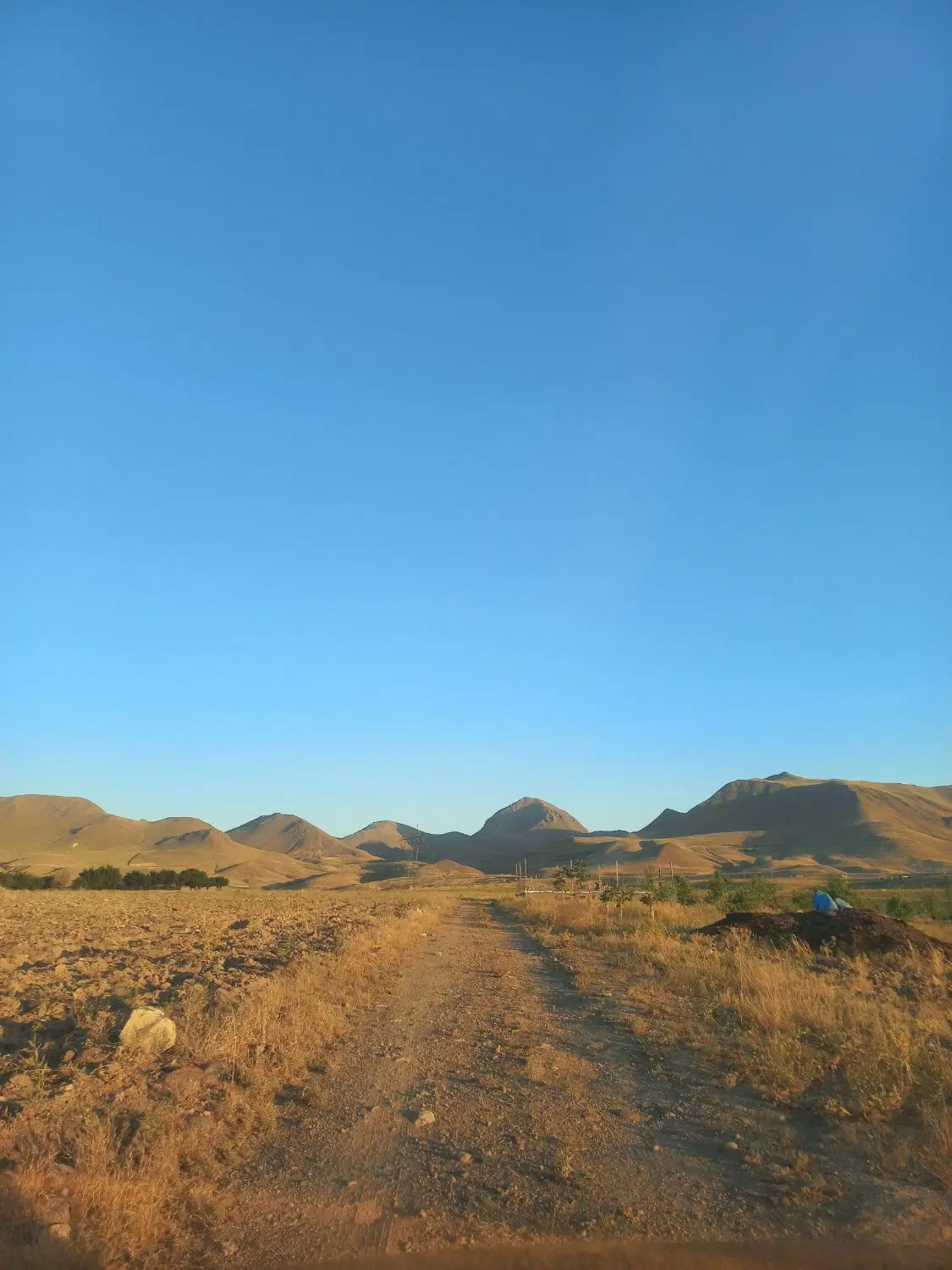 زمین زراعی