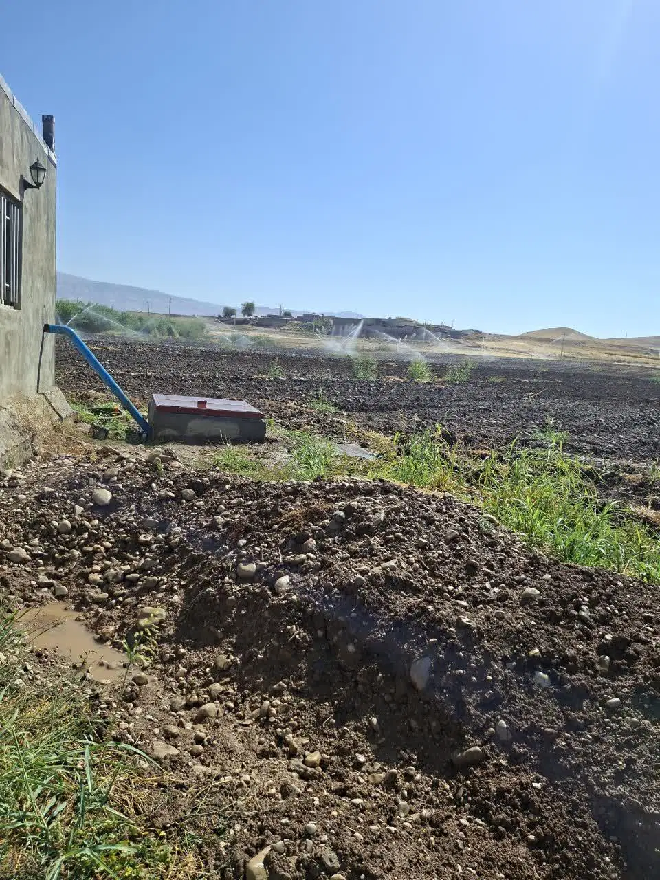واگداری ۱۰ هکتار زمین برای اجاره کشت چغندر پاییزه