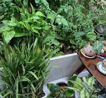 طبقه بالا دره گرم