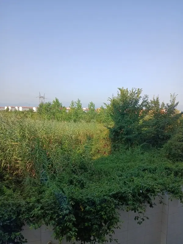 خانه ویلایی  داخل شهر املش