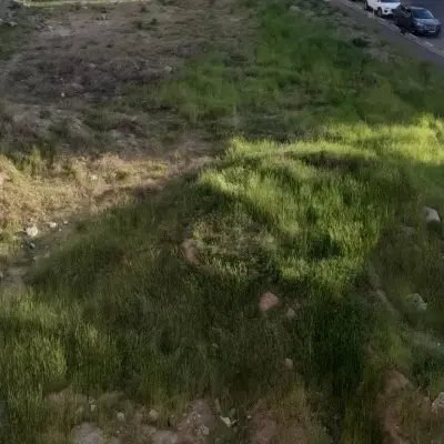 زمین پگاه