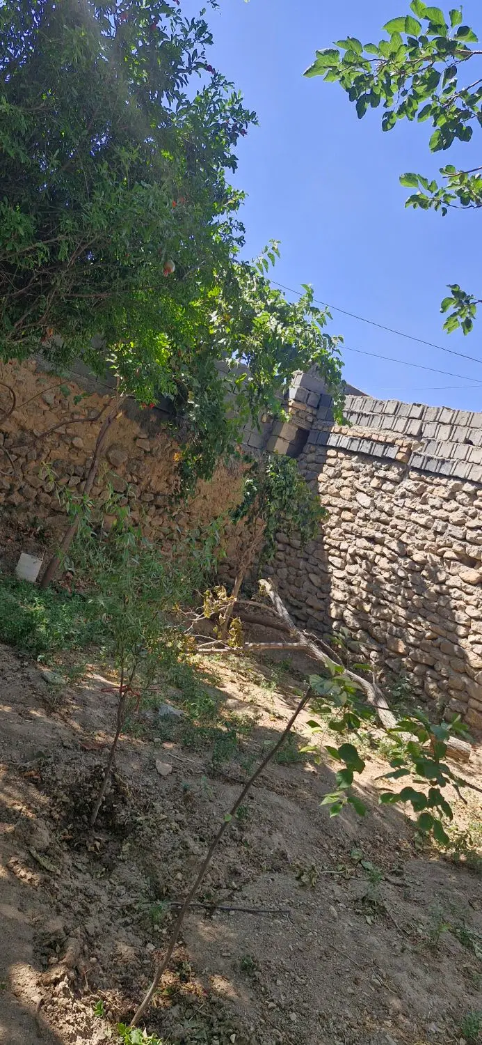 زمین روستایی