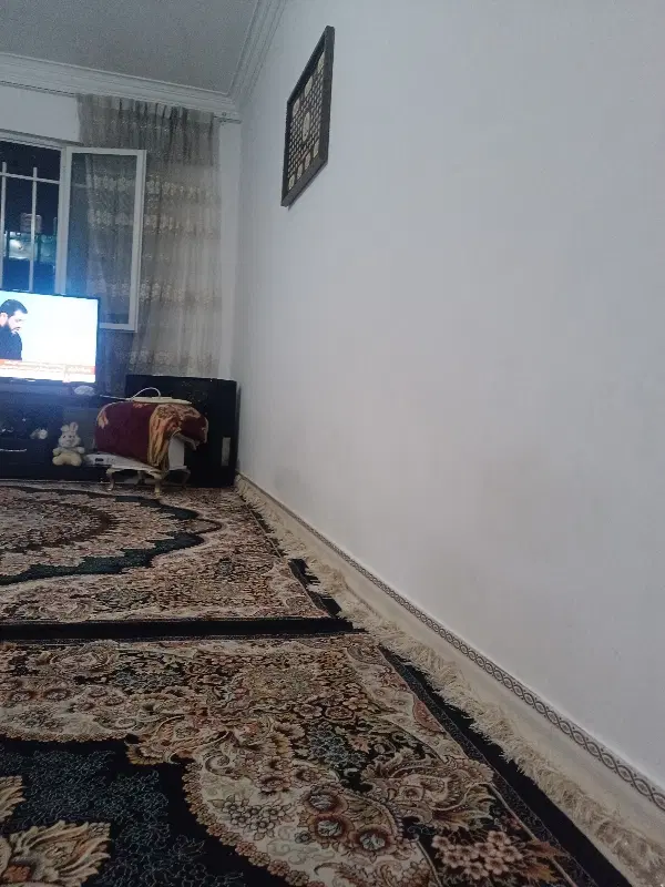 هم خونه